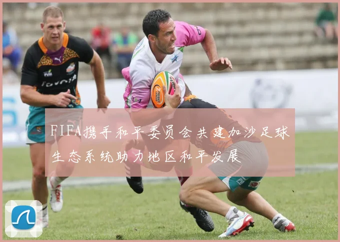 FIFA携手和平委员会共建加沙足球生态系统助力地区和平发展
