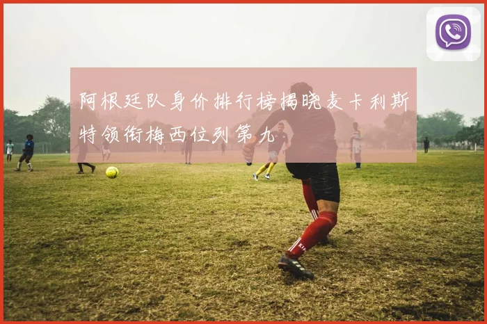 阿根廷队身价排行榜揭晓麦卡利斯特领衔梅西位列第九