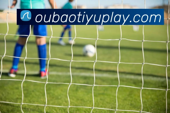 App Interface Preview